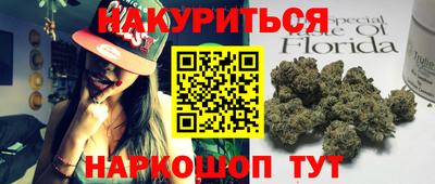 стаф Тула