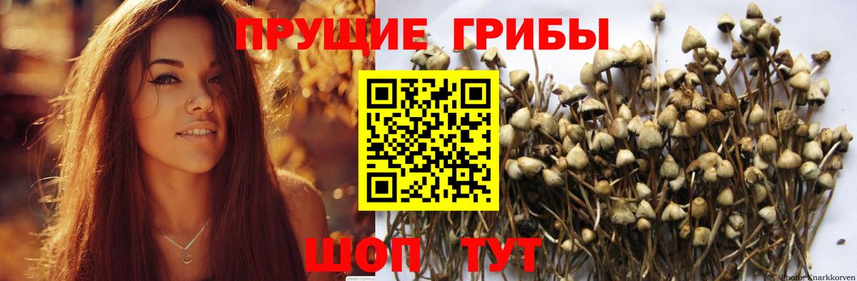 Галлюциногенные грибы GOLDEN TEACHER Лобня
